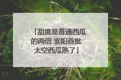 甜度是普通西瓜的两倍 襄阳首批太空西瓜熟了