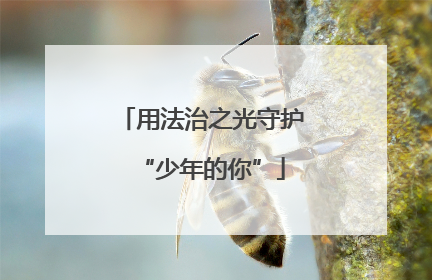 用法治之光守护“少年的你”