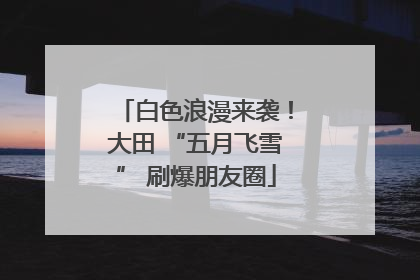 白色浪漫来袭！大田 “五月飞雪” 刷爆朋友圈