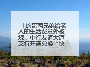 的哥两兄弟给老人的生活费意外被烧，中行友谊大道支行开通兑换“快车道”