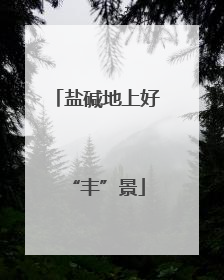 盐碱地上好“丰”景
