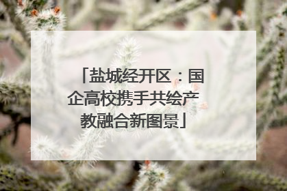 盐城经开区：国企高校携手共绘产教融合新图景