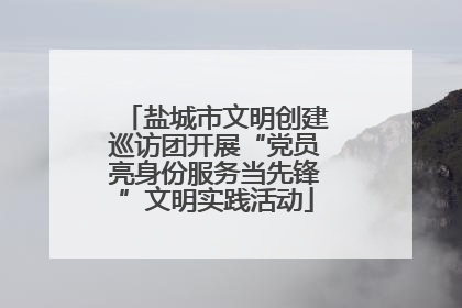 盐城市文明创建巡访团开展“党员亮身份服务当先锋”文明实践活动