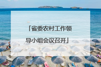 省委农村工作领导小组会议召开