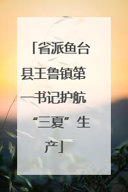 省派鱼台县王鲁镇第一书记护航“三夏”生产