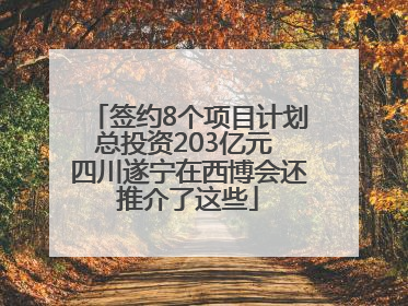 签约8个项目计划总投资203亿元 四川遂宁在西博会还推介了这些