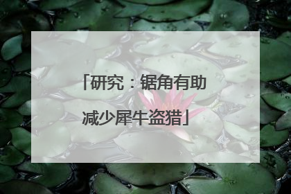 研究：锯角有助减少犀牛盗猎