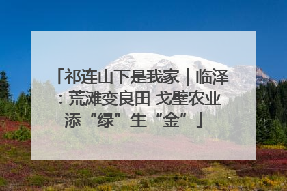 祁连山下是我家｜临泽：荒滩变良田 戈壁农业添“绿”生“金”