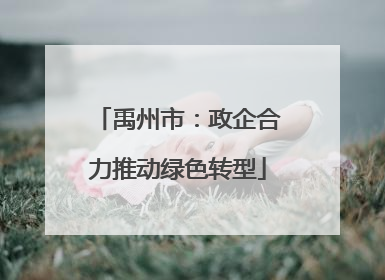 禹州市：政企合力推动绿色转型