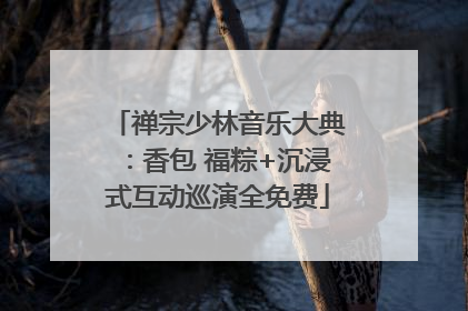 禅宗少林音乐大典：香包 福粽+沉浸式互动巡演全免费