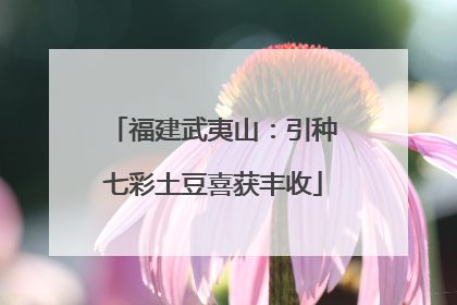 福建武夷山：引种七彩土豆喜获丰收