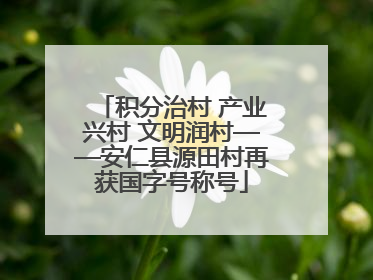 积分治村 产业兴村 文明润村——安仁县源田村再获国字号称号