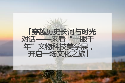 穿越历史长河与时光对话——来看“一眼千年”文物科技美学展，开启一场文化之旅