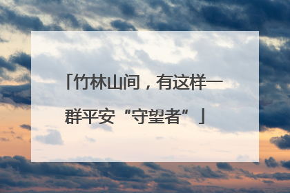 竹林山间，有这样一群平安“守望者”