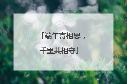 端午寄相思，千里共相守