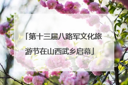 第十三届八路军文化旅游节在山西武乡启幕