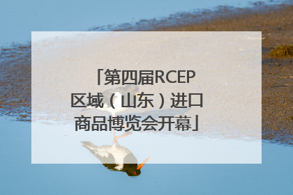 第四届RCEP区域（山东）进口商品博览会开幕