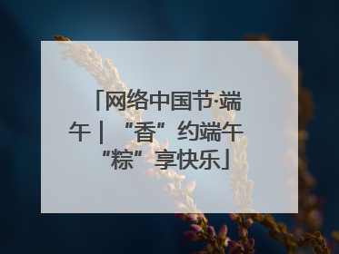 网络中国节·端午｜“香”约端午 “粽”享快乐