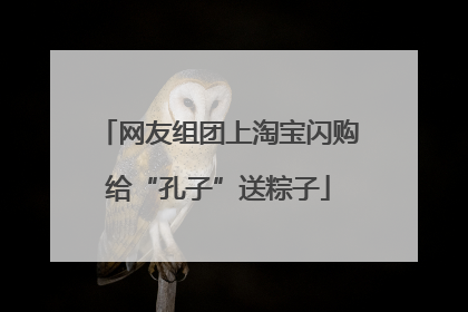 网友组团上淘宝闪购给“孔子”送粽子
