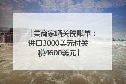 美商家晒关税账单：进口3000美元付关税4600美元