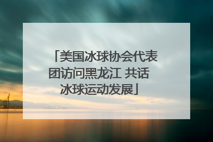 美国冰球协会代表团访问黑龙江 共话冰球运动发展