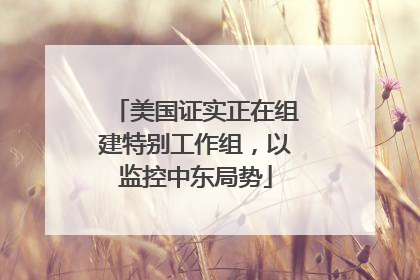 美国证实正在组建特别工作组，以监控中东局势