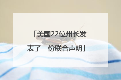 美国22位州长发表了一份联合声明