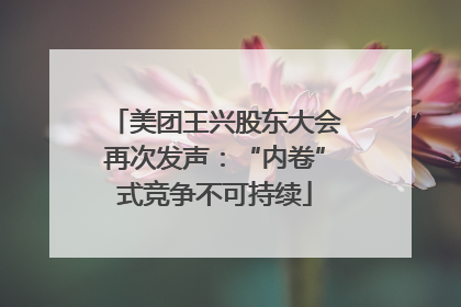 美团王兴股东大会再次发声：“内卷”式竞争不可持续