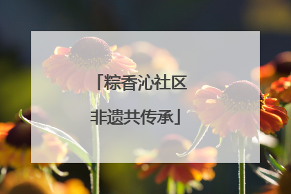 粽香沁社区 非遗共传承
