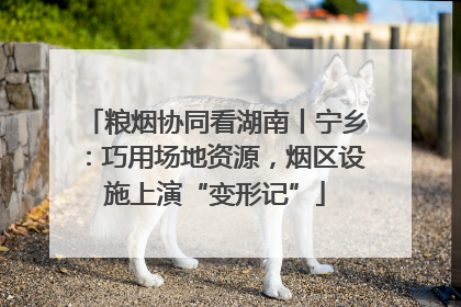 粮烟协同看湖南丨宁乡：巧用场地资源，烟区设施上演“变形记”