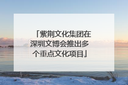 紫荆文化集团在深圳文博会推出多个重点文化项目