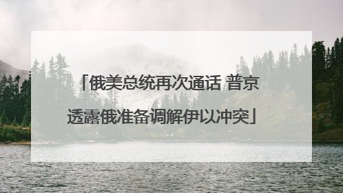 俄美总统再次通话 普京透露俄准备调解伊以冲突