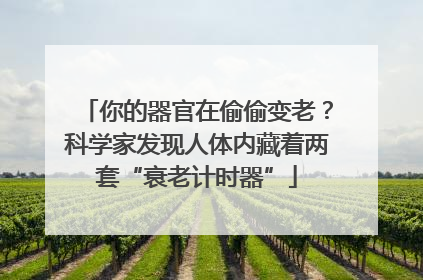 你的器官在偷偷变老？科学家发现人体内藏着两套“衰老计时器”