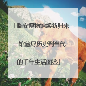 临安博物馆焕新归来 一馆藏尽历史到当代的千年生活图鉴