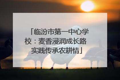 临汾市第一中心学校：麦香浸润成长路 实践传承农耕情