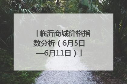临沂商城价格指数分析（6月5日—6月11日）