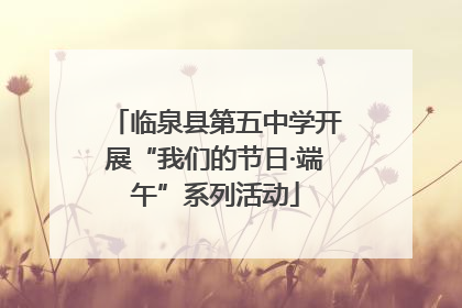 临泉县第五中学开展“我们的节日·端午”系列活动