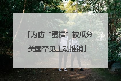 为防“蛋糕”被瓜分 美国罕见主动推销