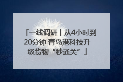 一线调研丨从4小时到20分钟 青岛港科技升级货物“秒通关”