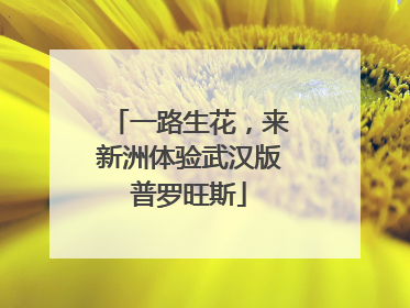 一路生花，来新洲体验武汉版普罗旺斯