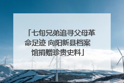七旬兄弟追寻父母革命足迹 向阳新县档案馆捐赠珍贵史料