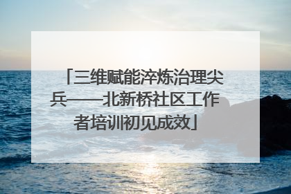 三维赋能淬炼治理尖兵——北新桥社区工作者培训初见成效