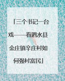 三个书记一台戏——看泗水县金庄镇辛庄村如何强村富民