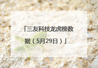 三友科技龙虎榜数据（5月29日）