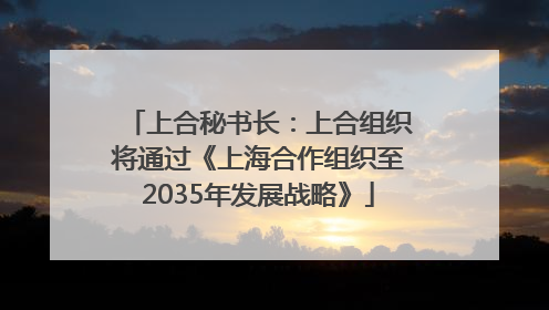 上合秘书长：上合组织将通过《上海合作组织至2035年发展战略》