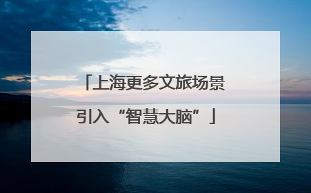 上海更多文旅场景引入“智慧大脑”