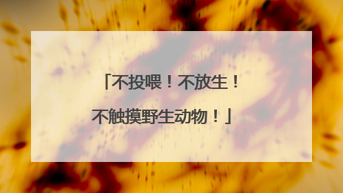 不投喂!不放生!不触摸野生动物!