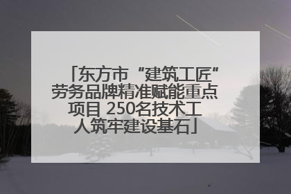 东方市“建筑工匠”劳务品牌精准赋能重点项目 250名技术工人筑牢建设基石