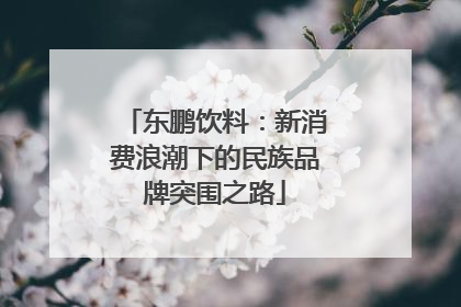 东鹏饮料：新消费浪潮下的民族品牌突围之路