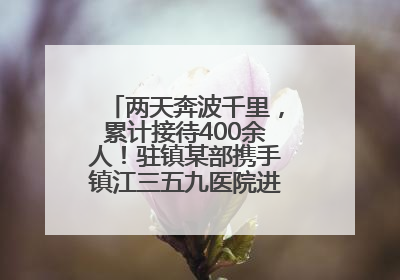 两天奔波千里，累计接待400余人！驻镇某部携手镇江三五九医院进村开展健康帮扶